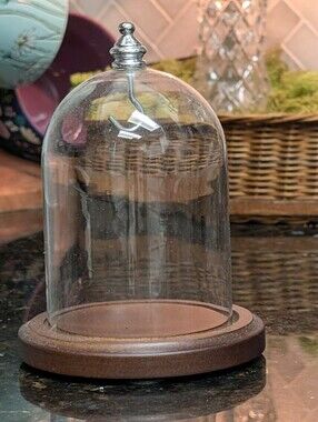 3"x4" Glass Display Dome Cloche with Real Walnut wood Base & Silver